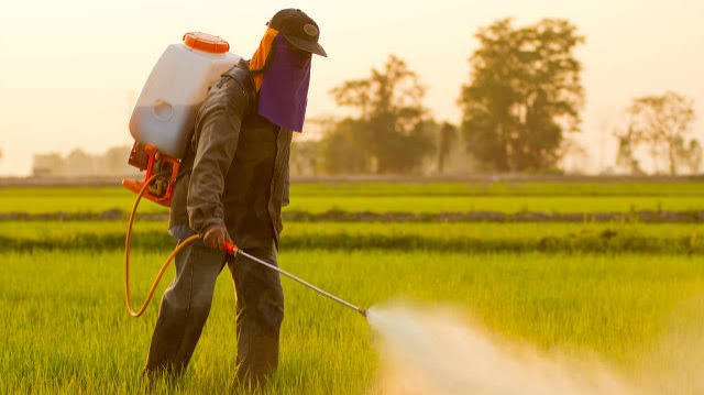 Is there weed killer in your dog's food