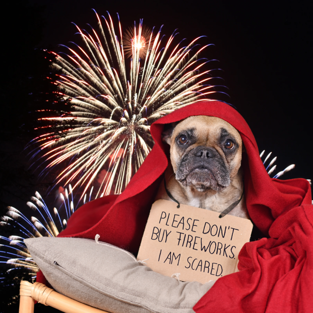4th of July & Our Furry Friends