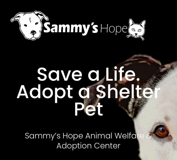 February Donation - Sammy's Hope