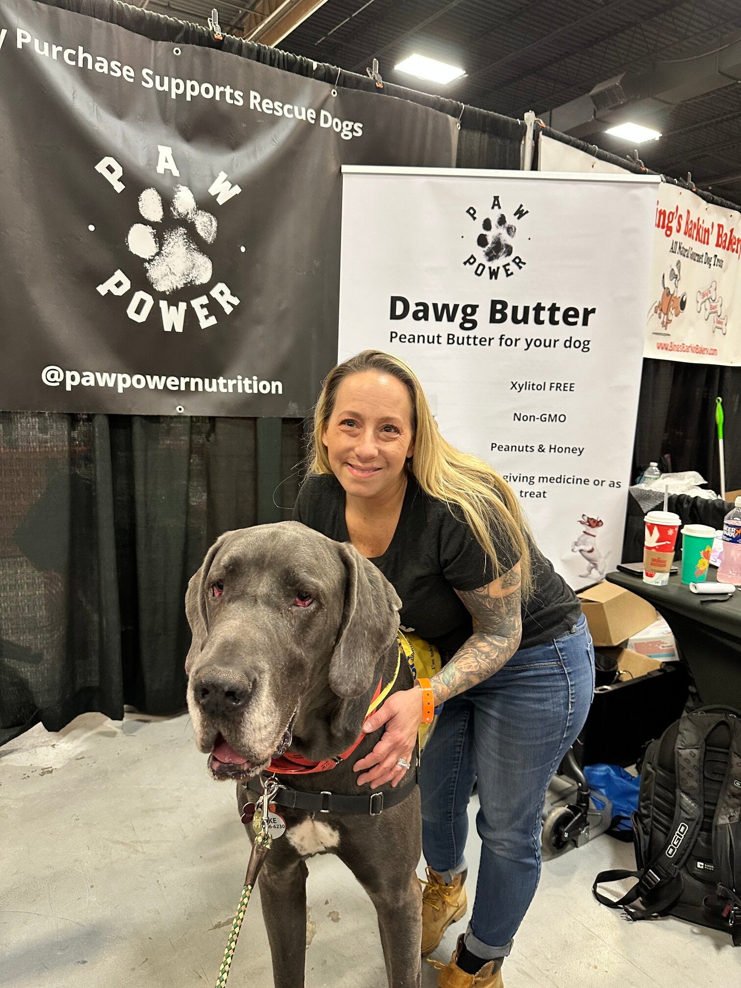 December Donation: Mid Atlantic Great Dane Rescue