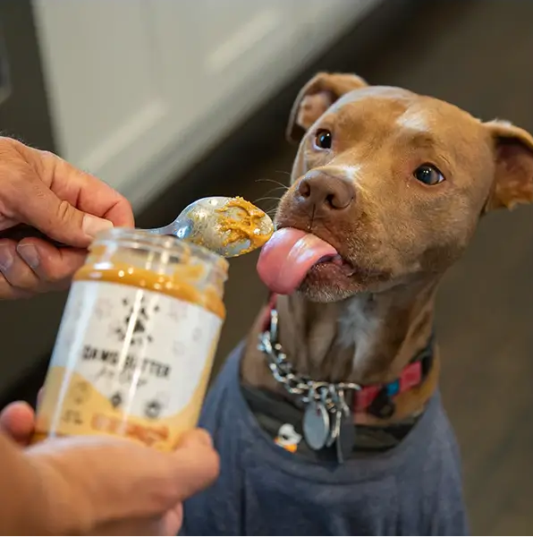 Your Dog's Favorite Treat Made Better